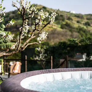  Ferienhaus Bejeque Spanien
