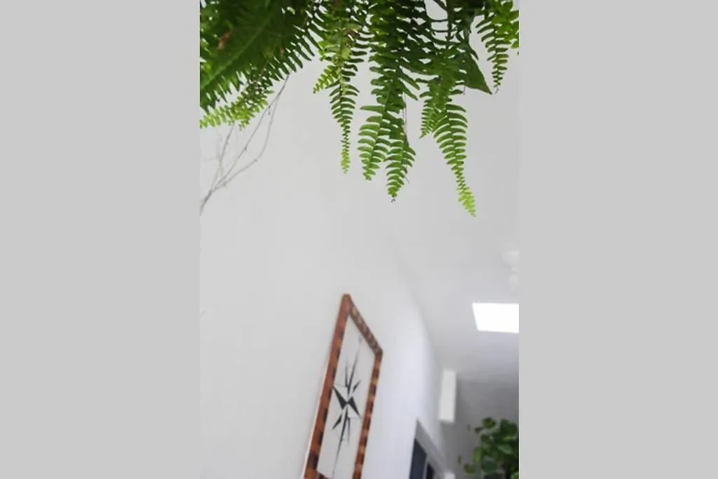 Hostel Casa Universo Holbox